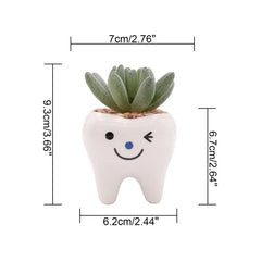 FREE GIFT Dental Tooth Flower Vase